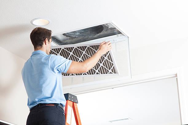 Best HVAC air duct cleaning  in Camilla, GA